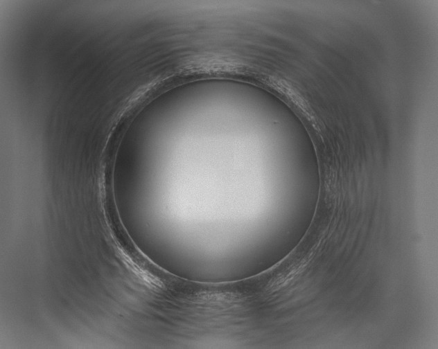 X0000076050629200610061511