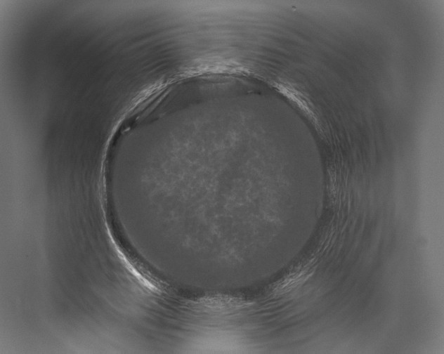 X0000076050630200610061511