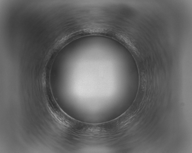 X0000076050631200610061511