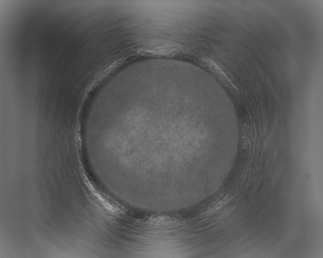 X0000076050634200610061511