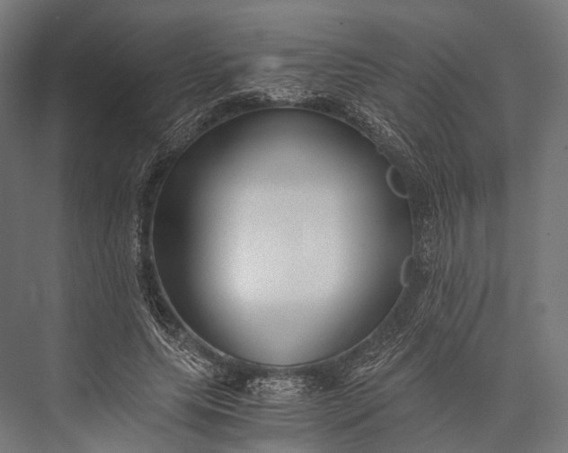 X0000076050639200610061511