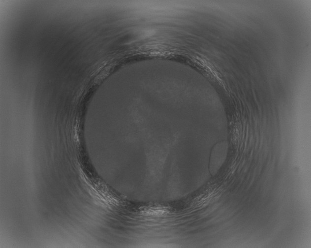 X0000076050643200610061511