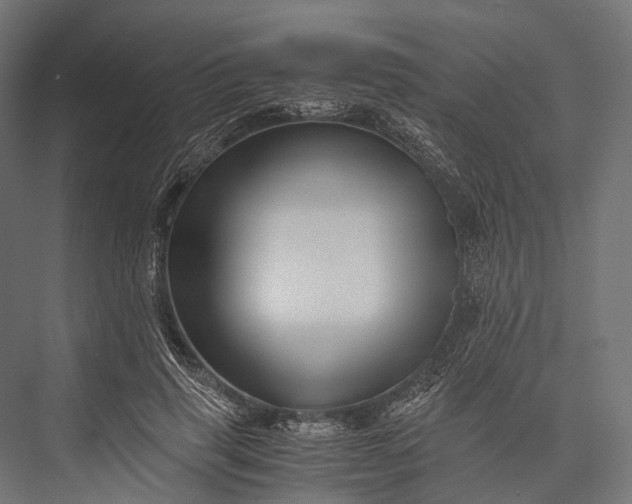 X0000076050645200610061511