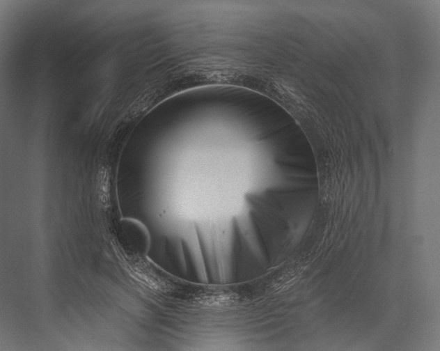 X0000076050646200610061511