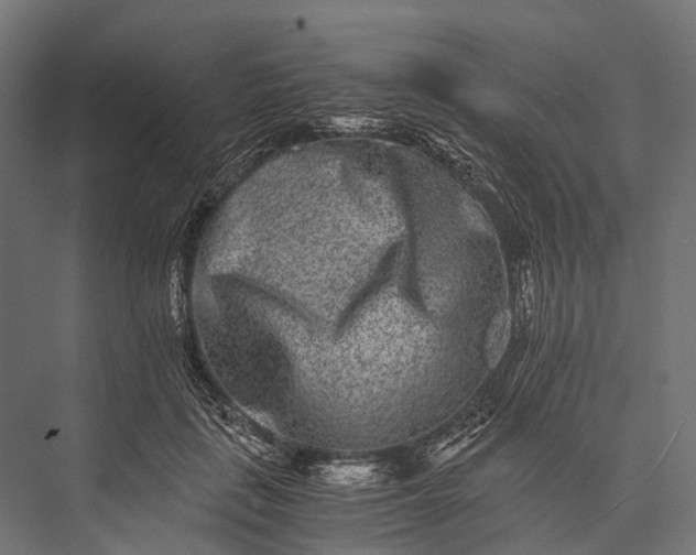 X0000076050651200610061511