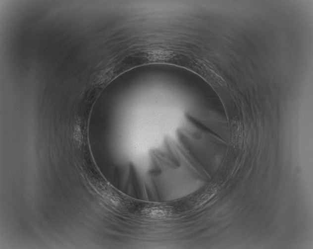 X0000076050655200610061511
