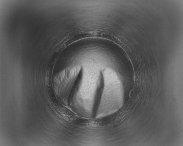 X0000076050656200610061511