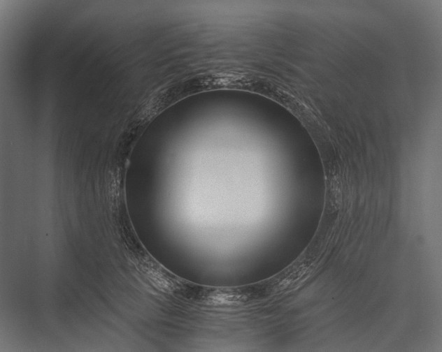 X0000076050657200610061511