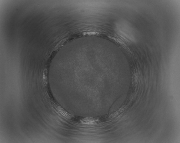 X0000076050661200610061511