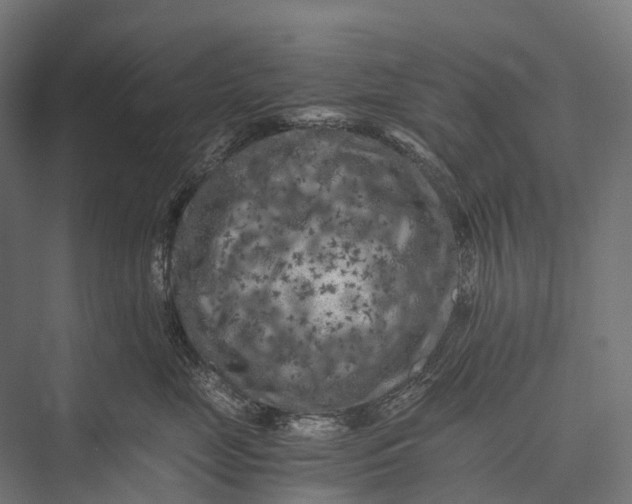 X0000076050669200610061511