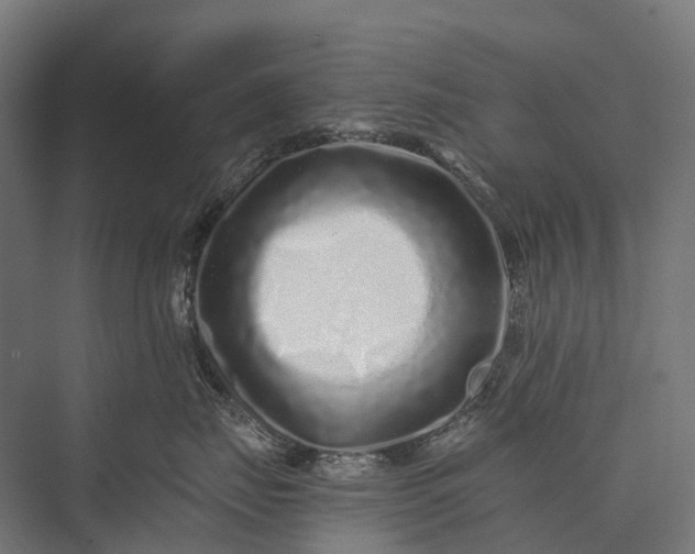 X0000076050671200610061511
