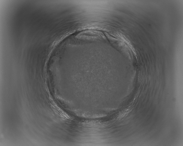 X0000076050673200610061511