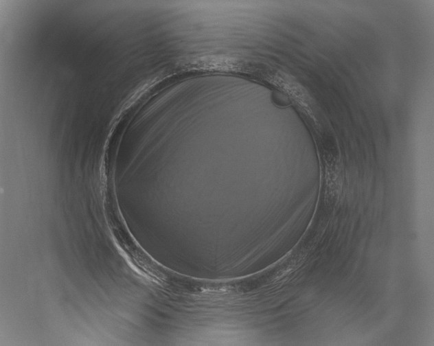 X0000076050674200610061511