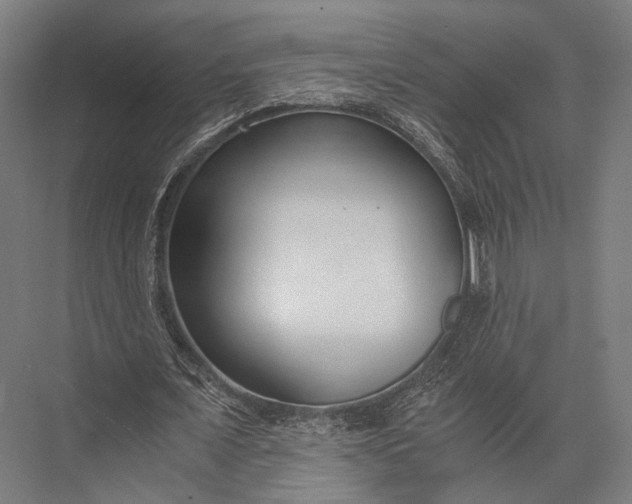 X0000076050675200610061511