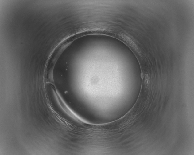 X0000076050676200610061511