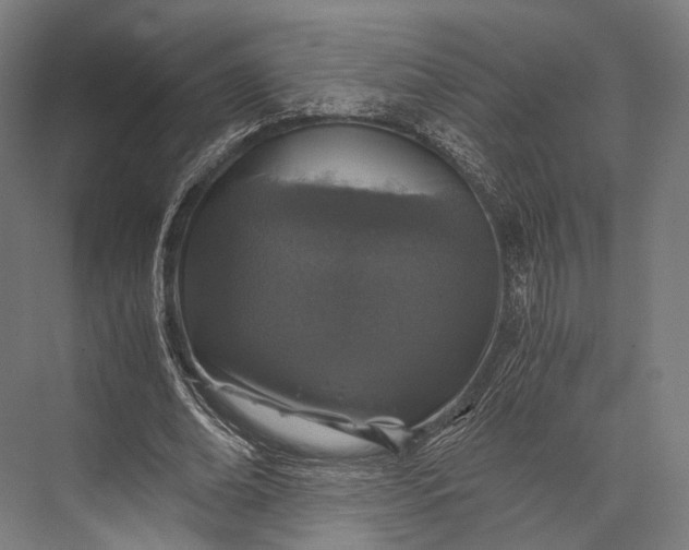 X0000076050678200610061511