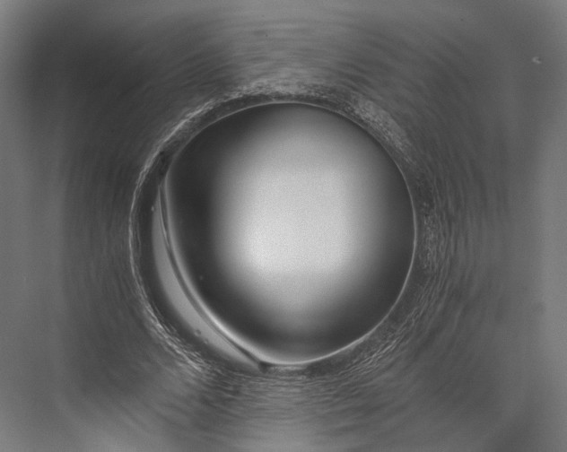 X0000076050680200610061511