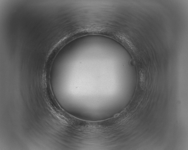 X0000076050684200610061510