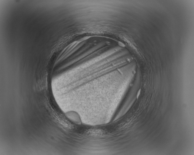 X0000076050685200610061510
