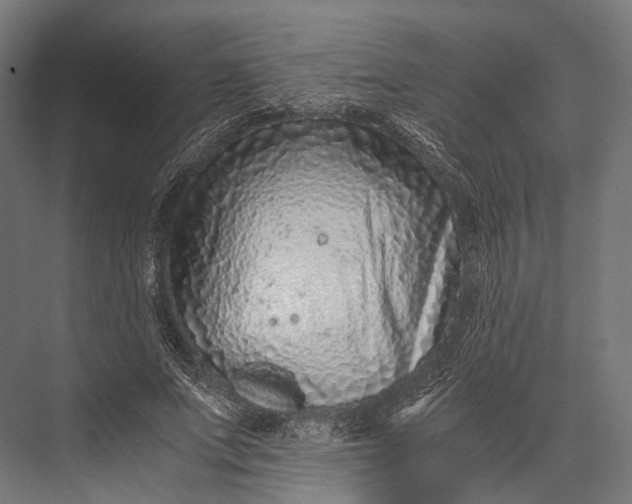 X0000076050687200610061510