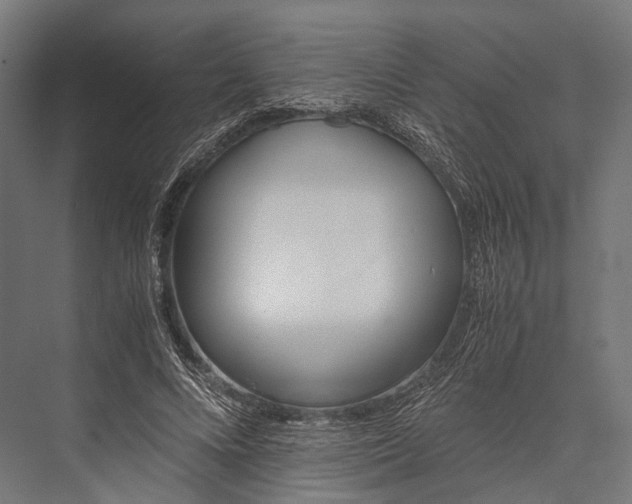 X0000076050688200610061510