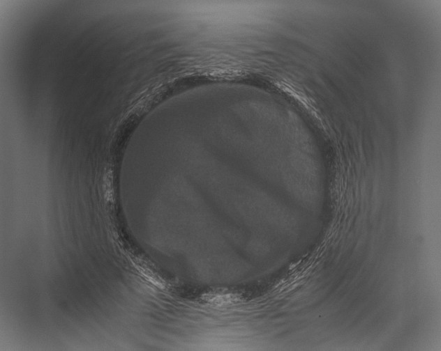 X0000076050689200610061510