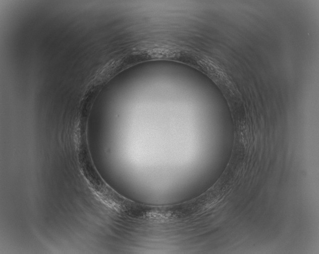 X0000076050690200610061510