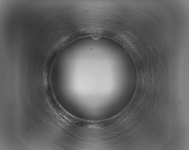 X0000076050692200610061510