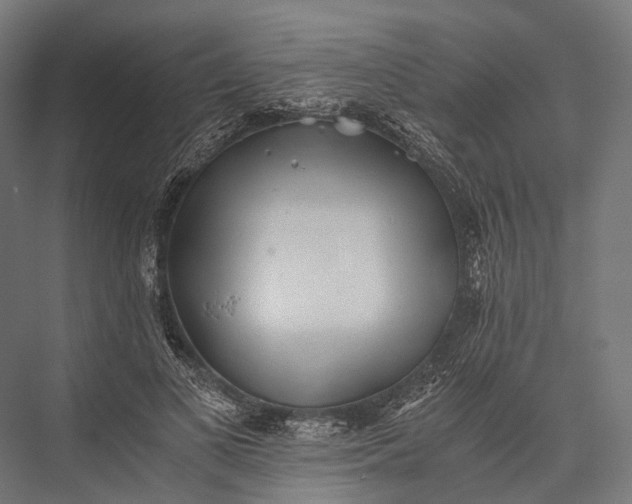 X0000076050693200610061510