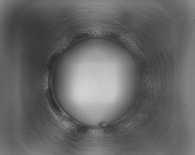 X0000076050694200610061510