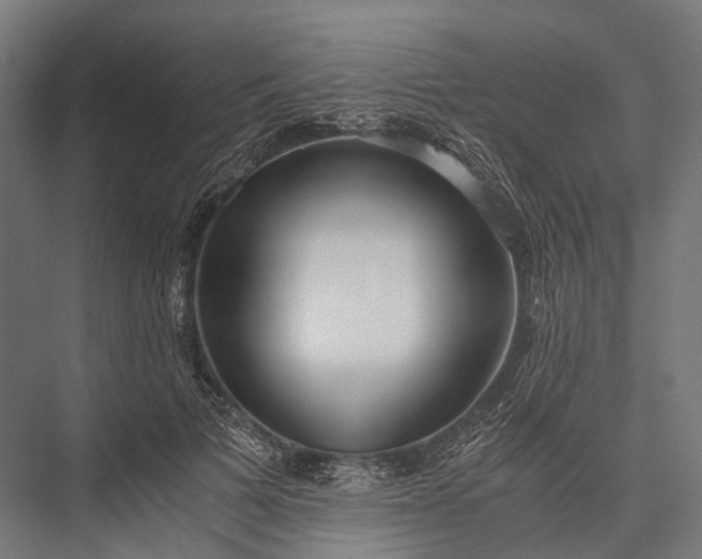 X0000076050697200610061510
