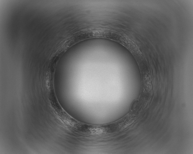 X0000076050698200610061510