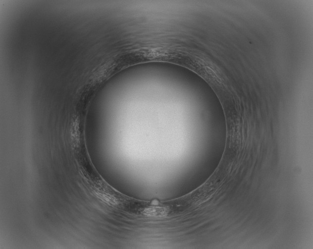 X0000076050700200610061510