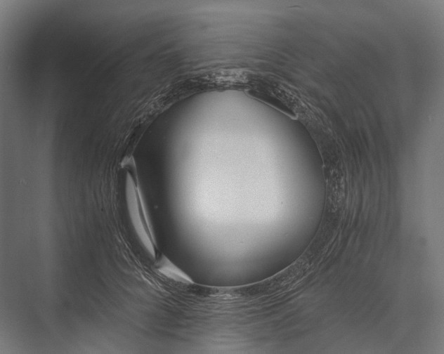 X0000076050704200610061510