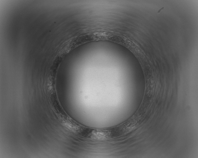 X0000076050706200610061510