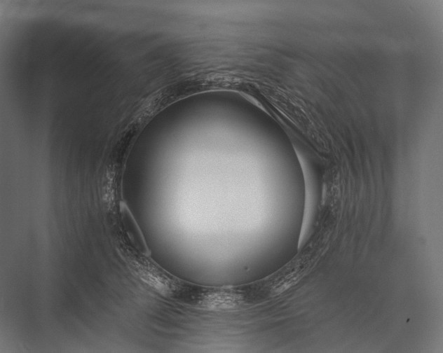 X0000076050708200610061510