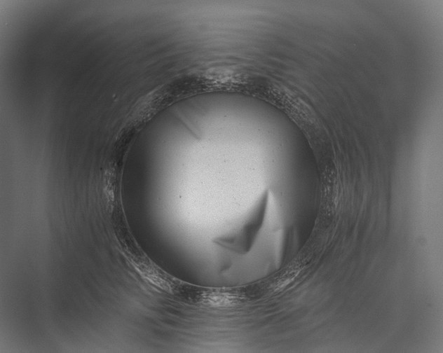 X0000076050710200610061510