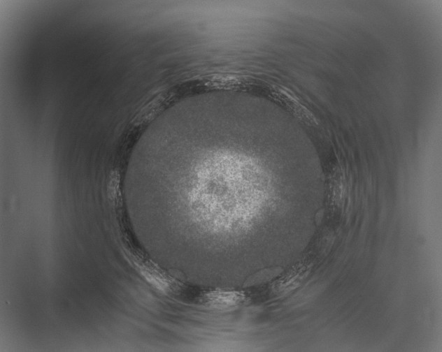 X0000076050711200610061510