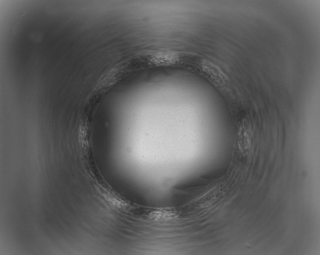 X0000076050714200610061510