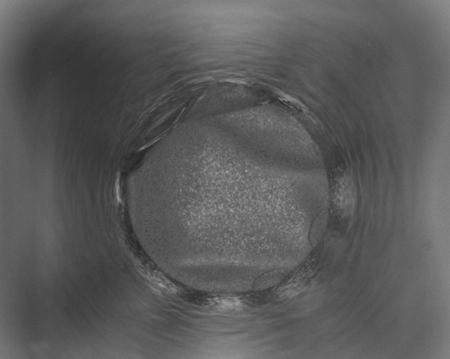 X0000076050715200610061510