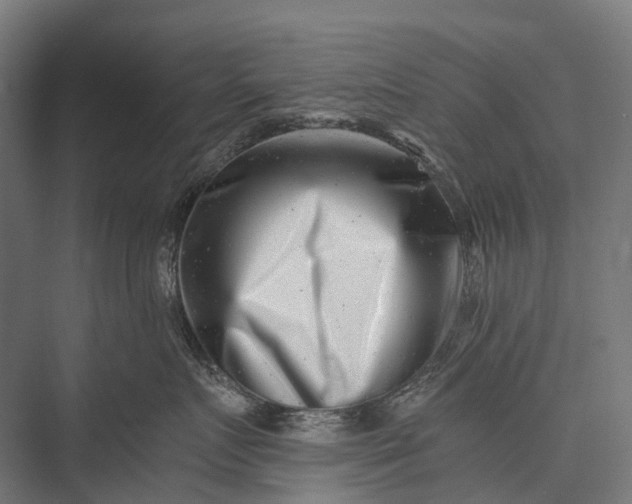 X0000076050719200610061510