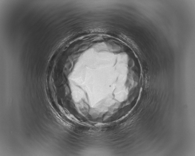 X0000076050725200610061509