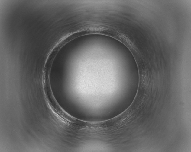 X0000076050726200610061509