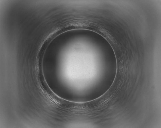 X0000076050727200610061509