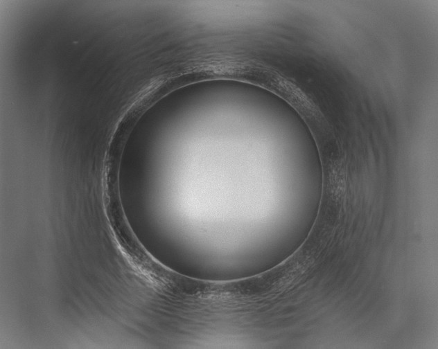X0000076050730200610061509