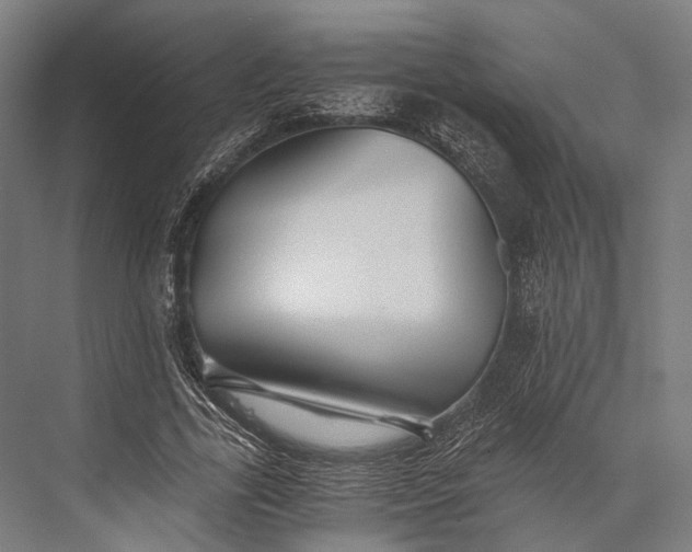 X0000076050731200610061509