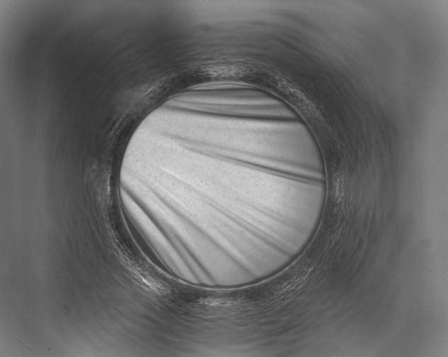 X0000076050733200610061509