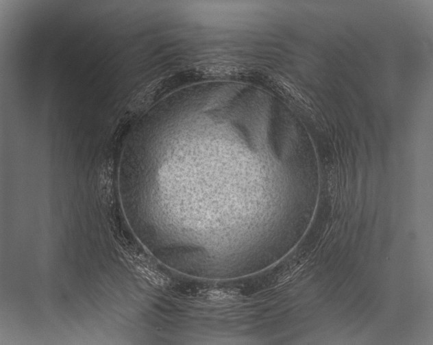 X0000076050737200610061509