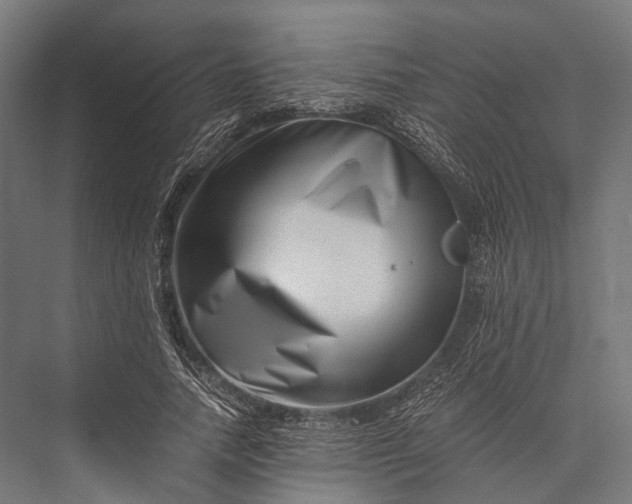 X0000076050738200610061509