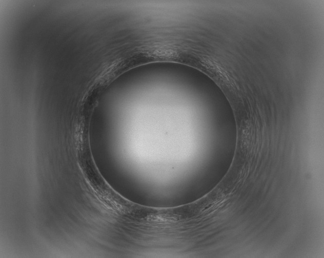 X0000076050739200610061509